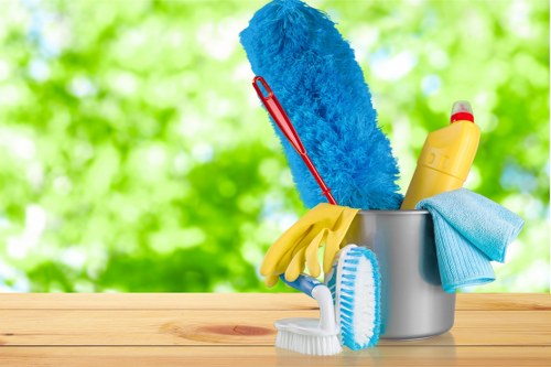 Carpet cleaner preparing a transparent price estimate for a home in Ham