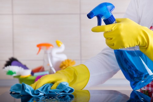 Cleaning products and tools used for pet stain odour removal
