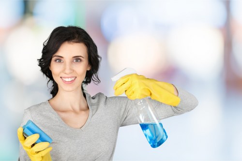 Ham Carpet Cleaners team introducing professional carpet cleaning services