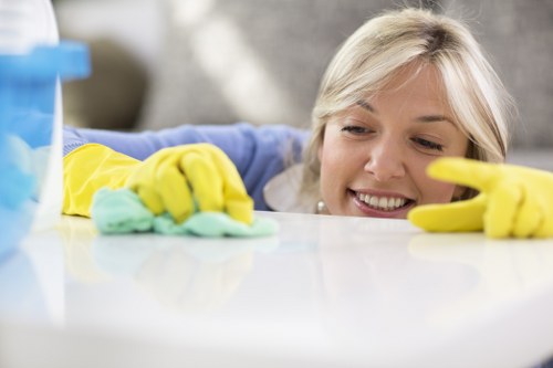Professional Ham carpet cleaners inspecting carpet fibers for cleaning