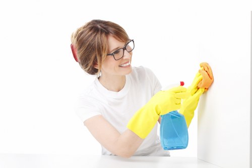 Specialist upholstery cleaning equipment in Ham