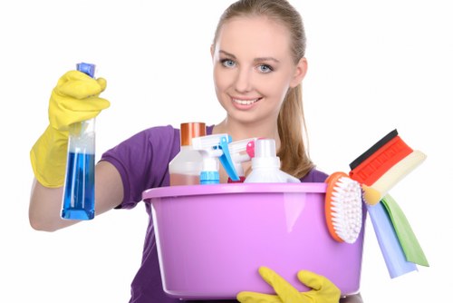 DIY and professional methods for removing pet smells