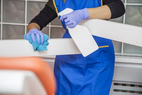 Professional assessment of carpet cleaning results