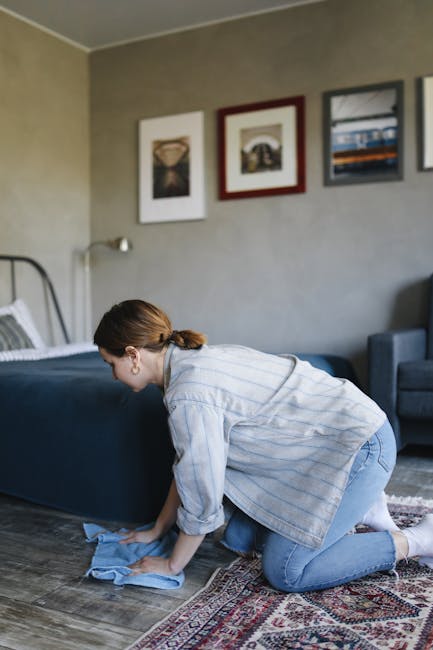 A clean, modern living room with a light grey fabric sofa featuring matching cushions, positioned along the left side of the room. The flooring consists of a plush, grey carpet that appears freshly va